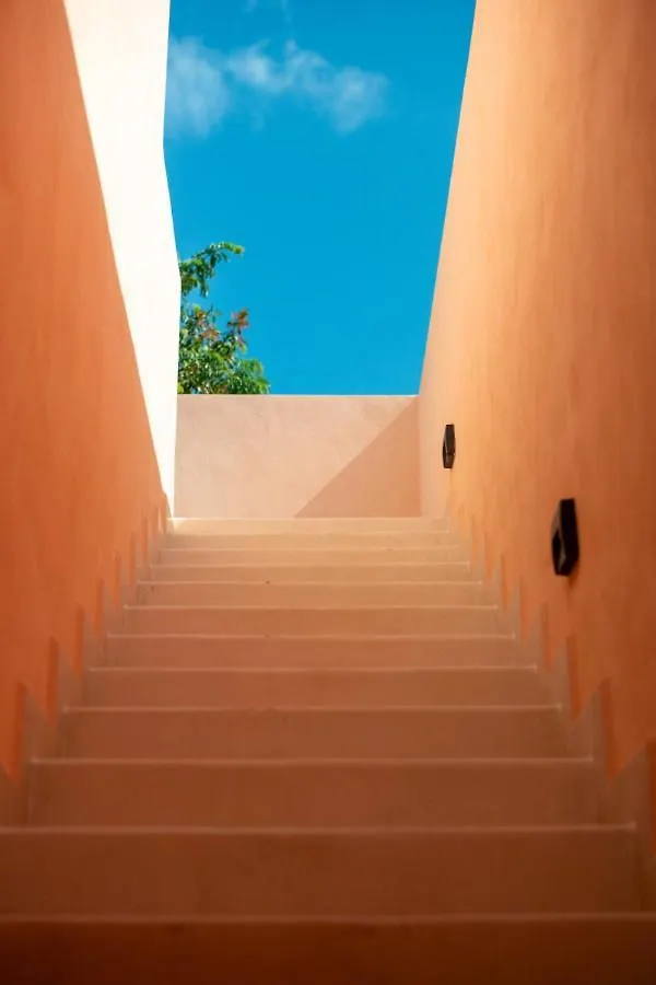 Shes Moody Tulum 3 Bed Penthouse With Yard Pools Rooftop Aircon 15 Minute Drive To The Beach