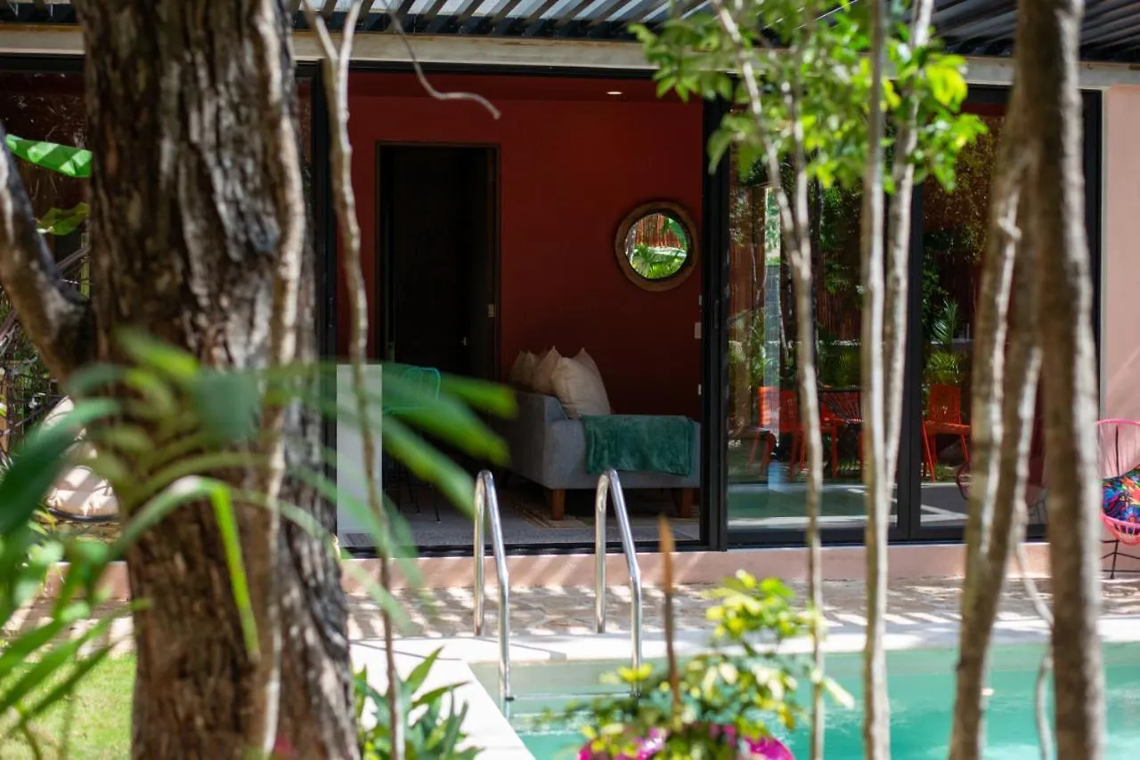 Shes Moody Tulum 3 Bed Penthouse With Yard Pools Rooftop Aircon 15 Minute Drive To The Beach Holiday home